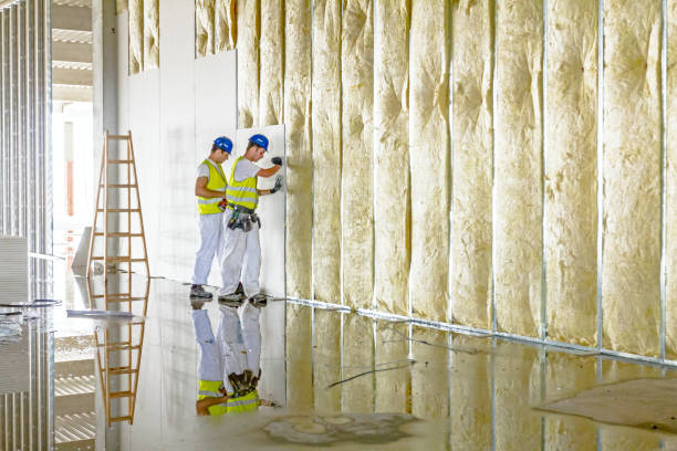 Best Types of Insulation in Hayward, CA